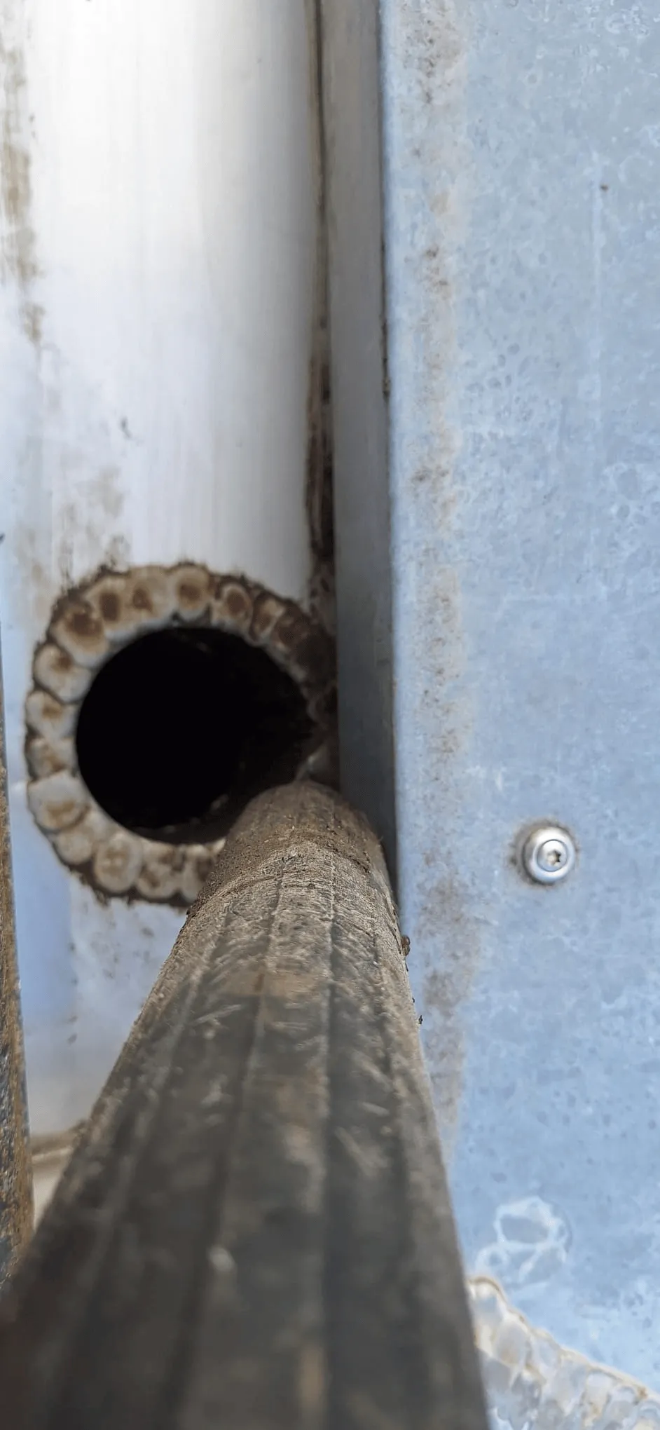 inspection gouttiere bouchée ecosolutions vaud